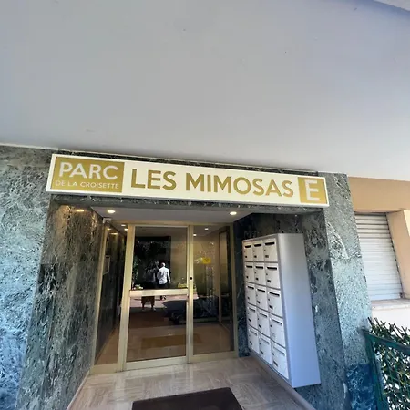 Mimosas By Welcome To * كان